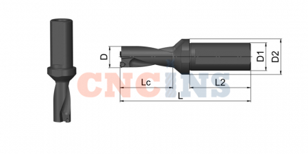 SP14-03D-C25_3